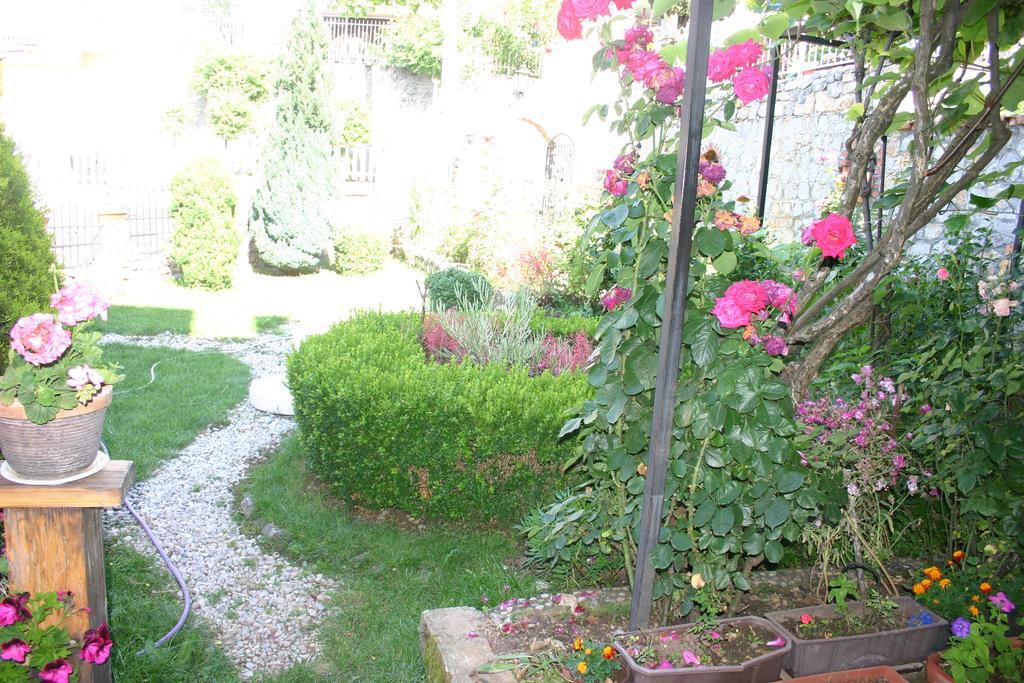 Villa Filip Търпейца Екстериор снимка