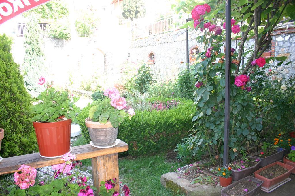 Villa Filip Търпейца Екстериор снимка